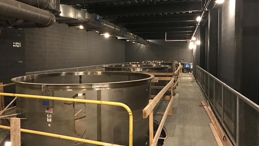 room with large steel cylindrical fermentation tanks protruding through the floor