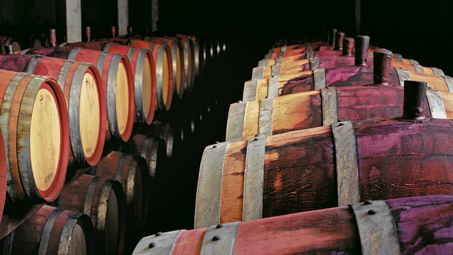 multiple rows of wooden wine aging barrels stained by red wine
