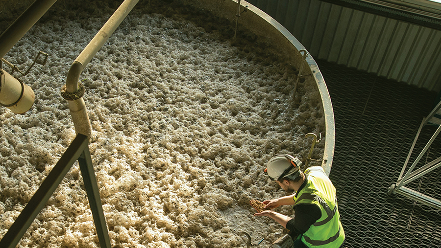 A worker checking quality of barley