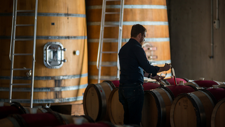 Cloudy Bay Pinot Noir, Marlborough at Fareham Wine Cellar