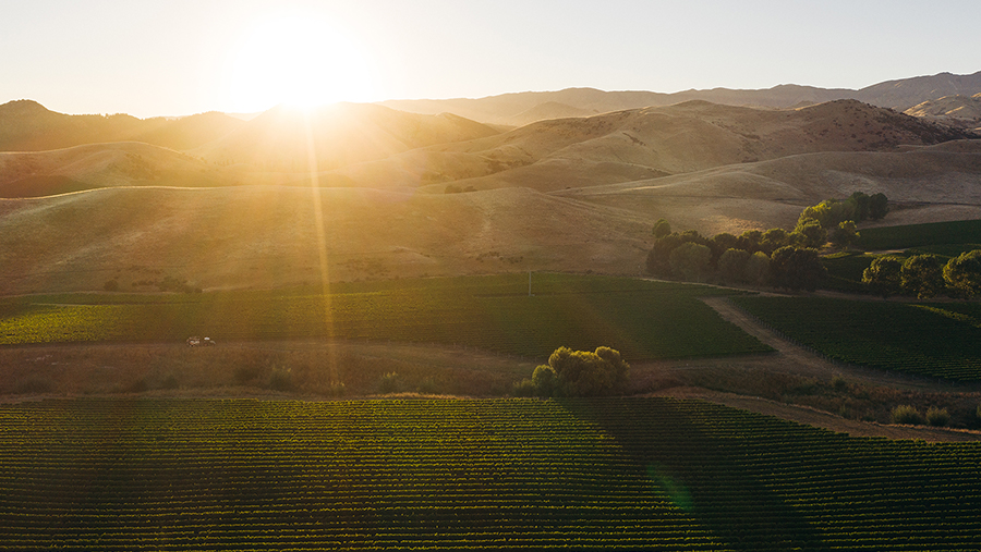 Cloudy Bay Vineyards - Founders Cellar