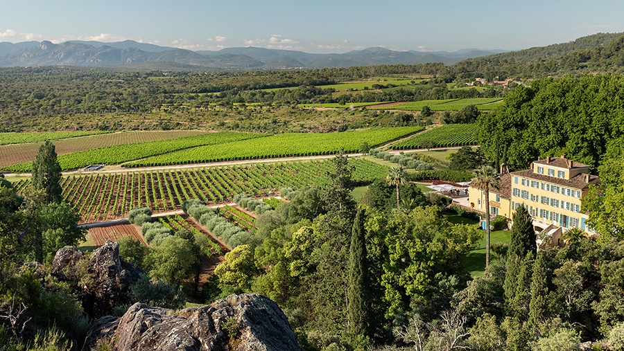 A Worldwide Leader in Luxury Rosé: Château d'Esclans