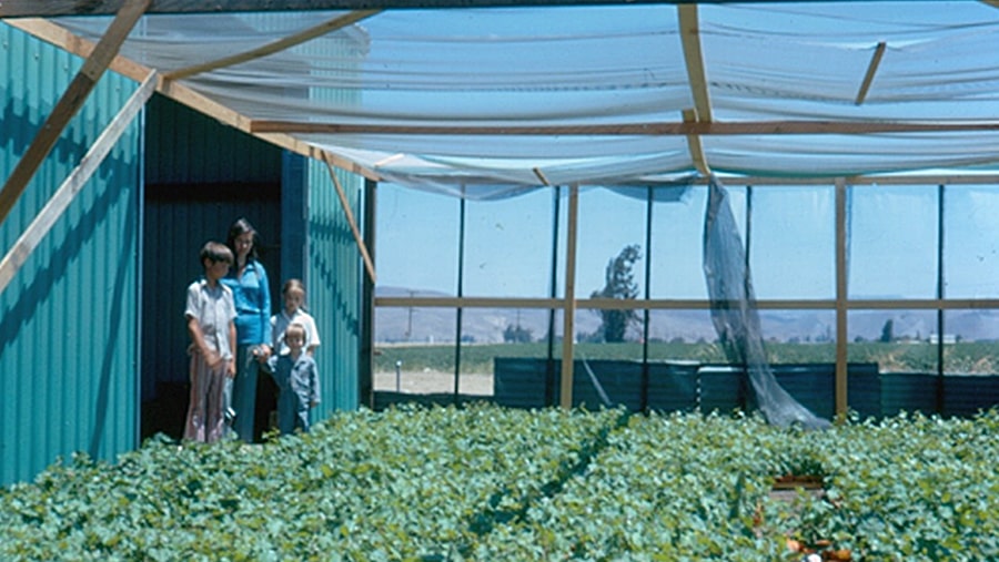 The Lohr family overlooking their vines in the greenhouse 