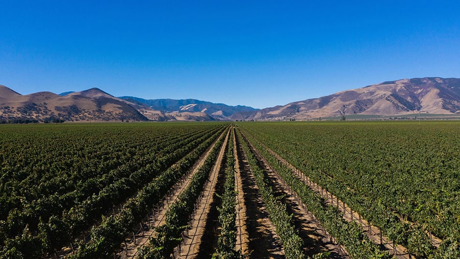 The Arroyo Seco Appellation in Monterey 