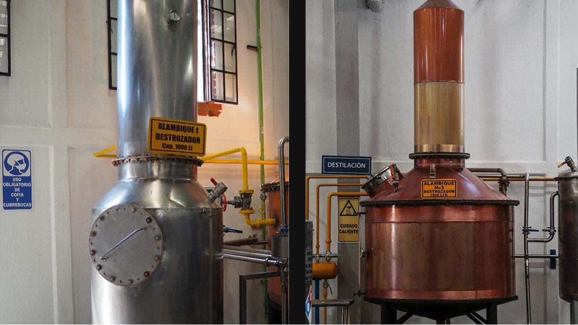 Rising Up from Volcanic Ash in Jalisco, Mexico to Luxury