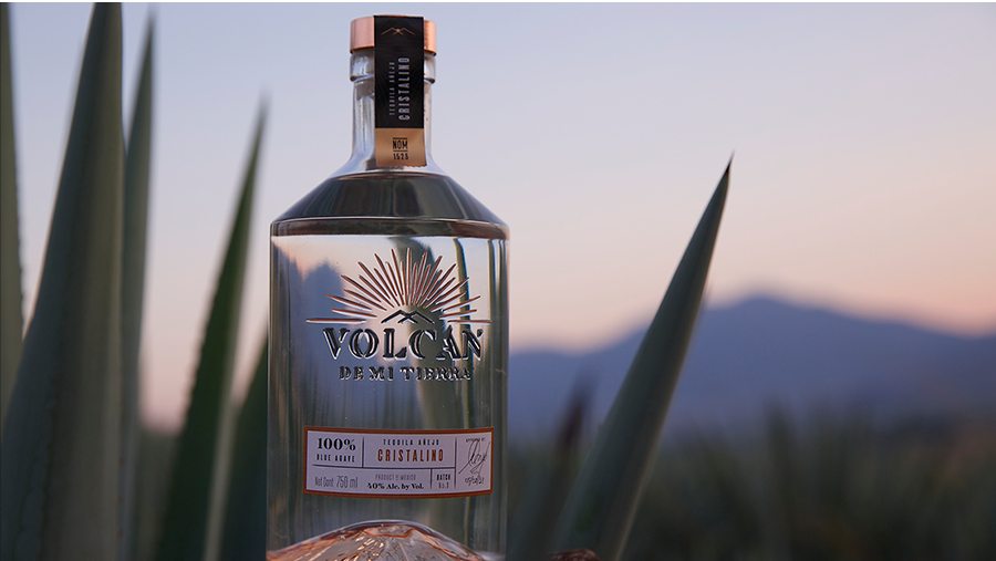 Discover Volcan De Mi Tierra Tequila - The Luxury Editor